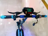 اسکوتر برقی دو نفره وینر اسکای winner sky مدل E10 pro2 موتور ۳۰۰۰ وات طرح جدید آبی