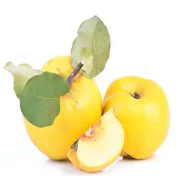 به - میوه کده