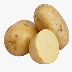 سیب زمینی - میوه کده