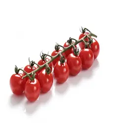 گوجه فرنگی گیلاسی ، زیتونی - میوه کده