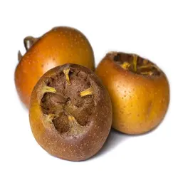 ازگیل - میوه کده