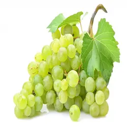 انگور بی‌دانه سفید - میوه کده