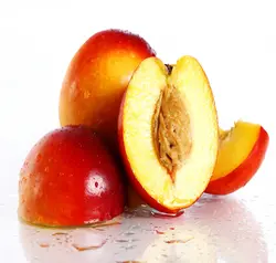 شلیل - میوه کده