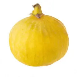 انجیر زرد - میوه کده