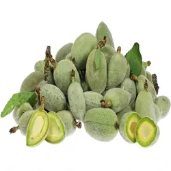چغاله بادام - میوه کده
