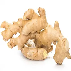 زنجبیل تازه - میوه کده