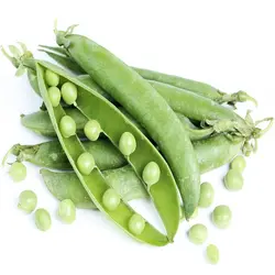 نخود فرنگی - میوه کده