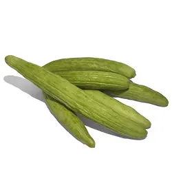 خیار چنبر - میوه کده