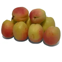 زردآلو - میوه کده