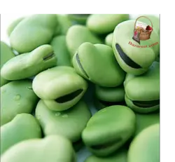 باقلا دانه شده