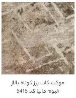 موکت پالاز آلبوم دالیا