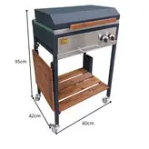 باربیکیو گازی اصلان مدلT60درب تخت