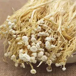 قارچ انوکی رشته ای خشک