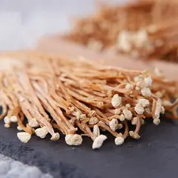 قارچ انوکی رشته ای خشک