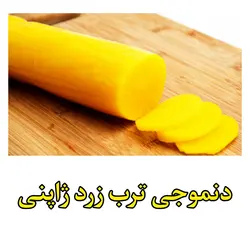 دنموجی ترب زرد ژاپنی