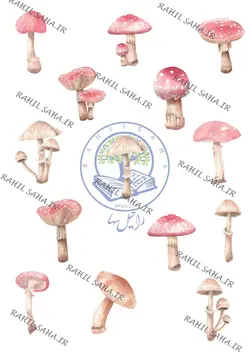 استیکر بدون برش طرح قارچ