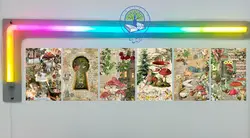 پک 6 عددی پوستر طبیعت و قارچ/fairycore