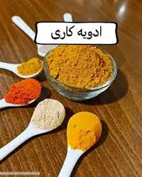 پودر ادویه کاری نمک پاش هوتن 60