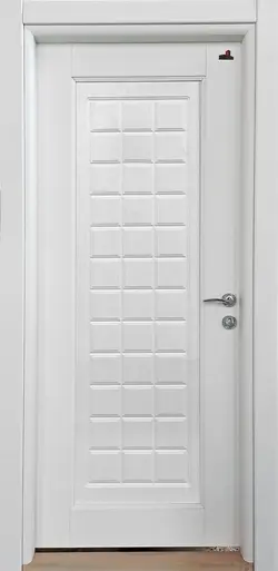 درب 100 درصد ضدآب فومیزه رپینگی با 5 سال گارانتی مدل TW66