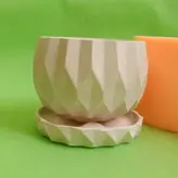 قالب سیلیکونی مدل گلدان کاکتوس با کفی