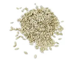 تخمه کدو ریز اعلا