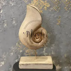 مجسمه صدف کیتون