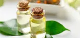 روغن درخت چای ( سنتی اصل )