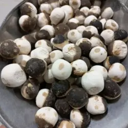 کشک قره قروتی ( دورنگ)