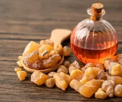کندر دودی