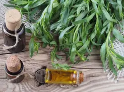 روغن ترخون ( سنتی اصل )