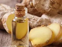 روغن زنجبیل ( سنتی اصل )