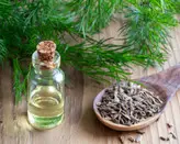 روغن شوید ( سنتی اصل )