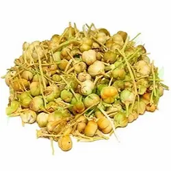 اسپند نخودی