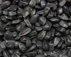 تخمه آفتابگردان روغنی بو داده