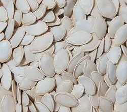 تخمه کدو گوشتی بو داده