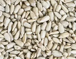 مغز تخمه آفتابگردان بو داده