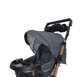 کالسکه بنیتا دلیجان بدنه مسی