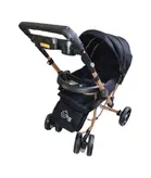 کالسکه بنیتا دلیجان بدنه مسی