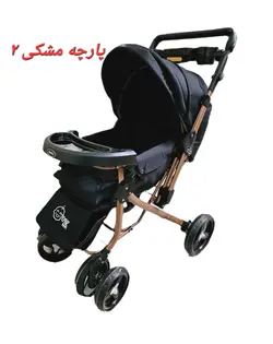 کالسکه بنیتا دلیجان بدنه مسی