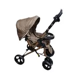 کالسکه بنیتا دلیجان بدنه مسی