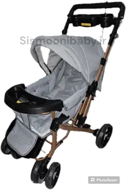 کالسکه بنیتا دلیجان بدنه مسی