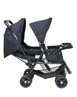 کالسکه دوقلو دلیجان