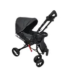 کالسکه بنیتا دلیجان (بدنه مشکی)