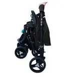 کالسکه بنیتا دلیجان (بدنه مشکی)