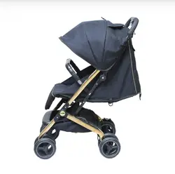 کالسکه مینی پرو بدنه طلایی (مینی پرو گلد)