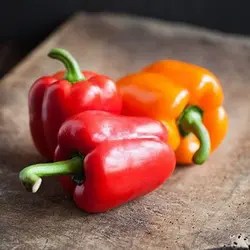 پودر پاپریکا - ادویه جات فیانی