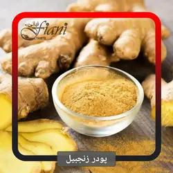 پودر زنجبیل - ادویه جات فیانی