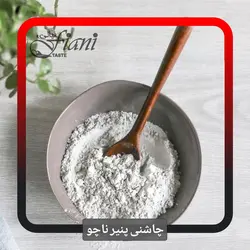 چاشنی ناچو - ادویه جات فیانی
