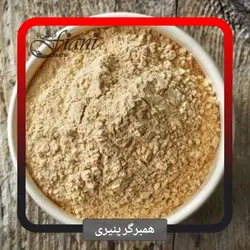 چاشنی همبرگر پنیری - ادویه جات فیانی