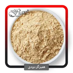 چاشنی همبرگر زغالی - ادویه جات فیانی